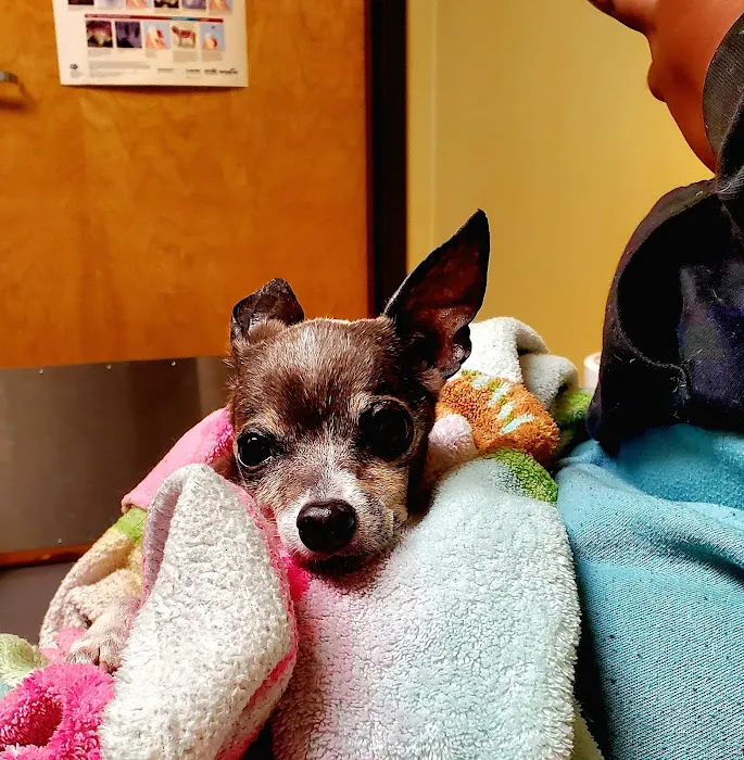 Broadway Veterinary Clinic Picture 4