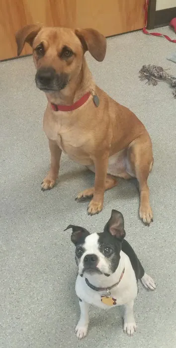 Broadway Veterinary Clinic Picture 8