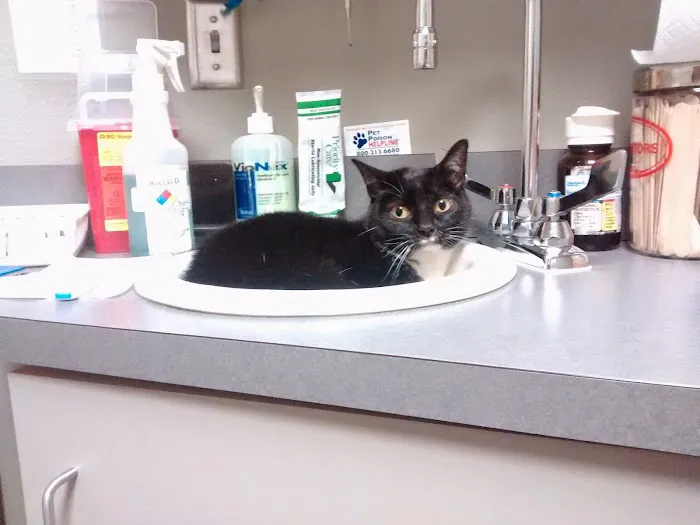 Broadway Veterinary Clinic Picture 7