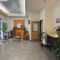 Peak to Coast Veterinary Specialists Otology & Dermatology ico