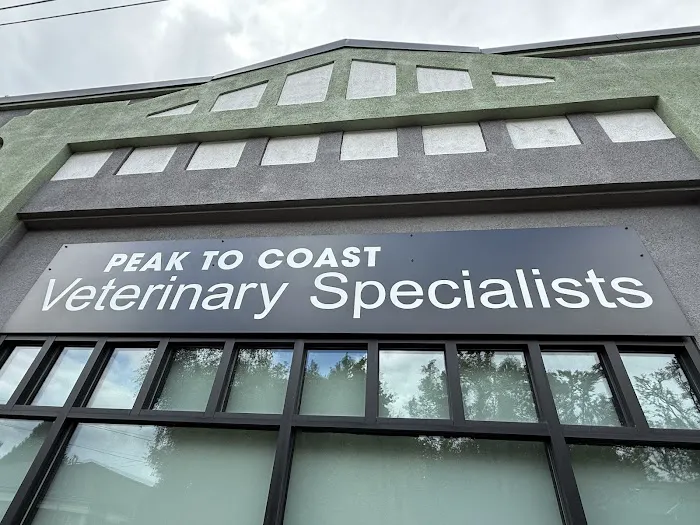 Peak to Coast Veterinary Specialists Otology & Dermatology Picture 8