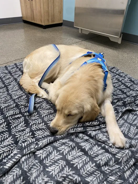 Riverbend Veterinary Care Picture 1