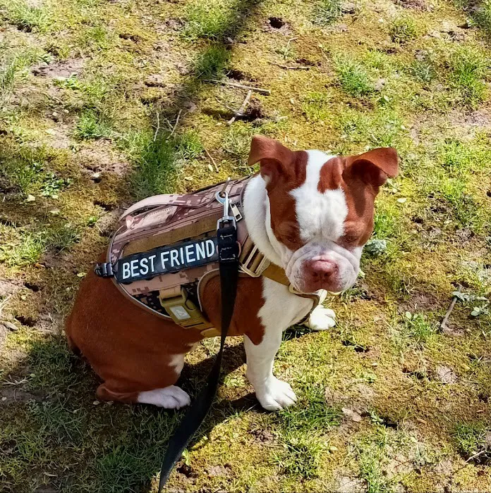 Riverbend Veterinary Care Picture 10