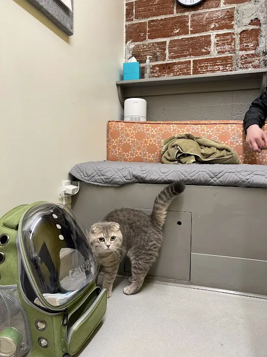 Mt. Tabor Veterinary Care Picture 5