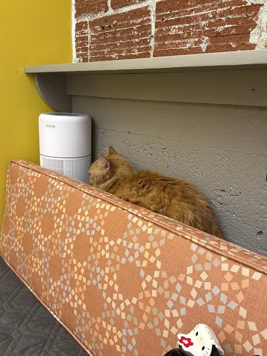 Mt. Tabor Veterinary Care Picture 9
