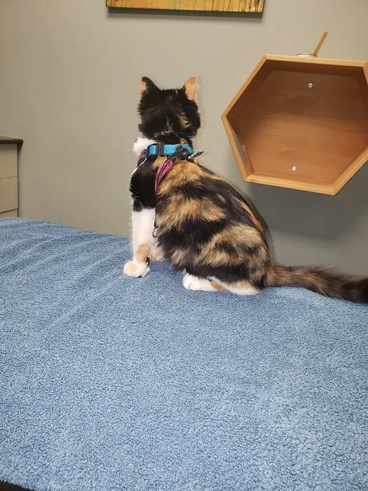 Irvington Veterinary Clinic Picture 2