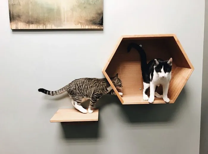 Irvington Veterinary Clinic Picture 6