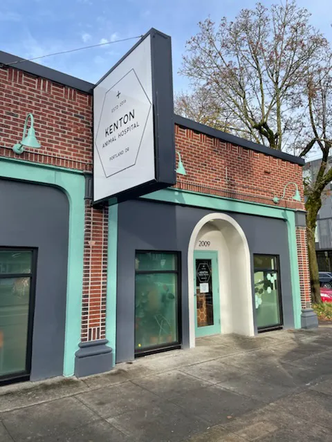Kenton Animal Hospital Picture 2