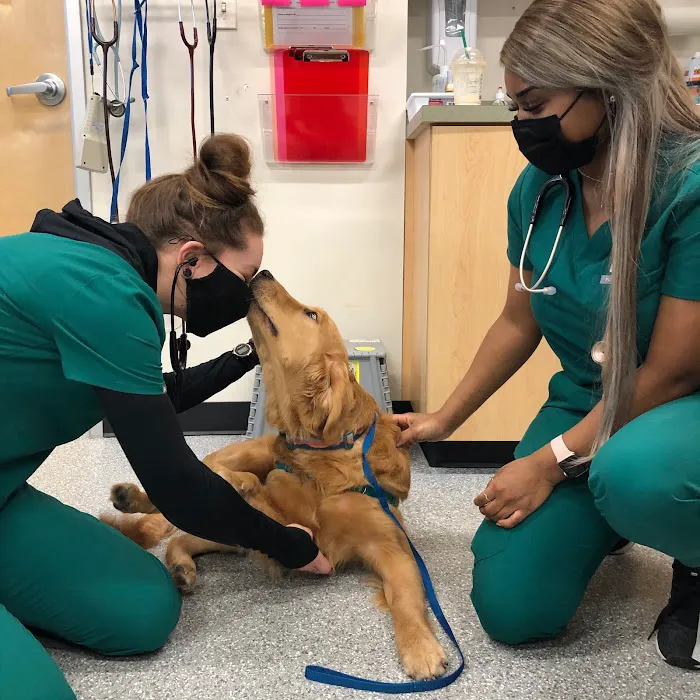 Heart and Soul Animal Urgent Care Picture 1