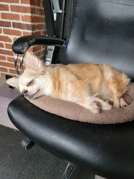 Heart and Soul Animal Urgent Care Picture 3