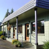 VCA Woodstock Animal Hospital ico