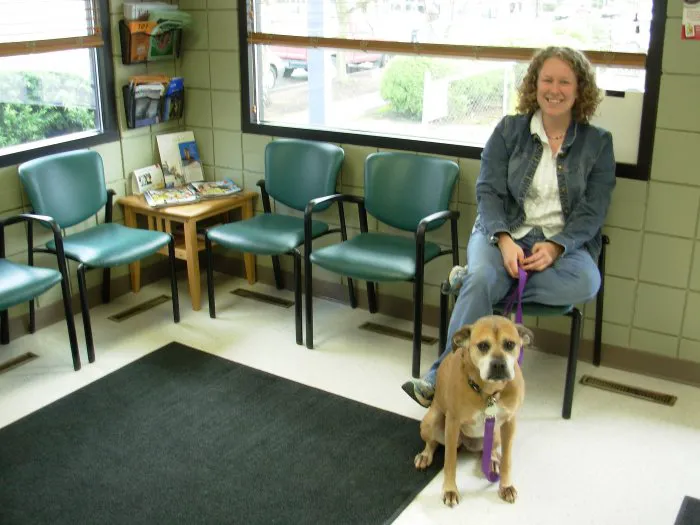 VCA Woodstock Animal Hospital Picture 4