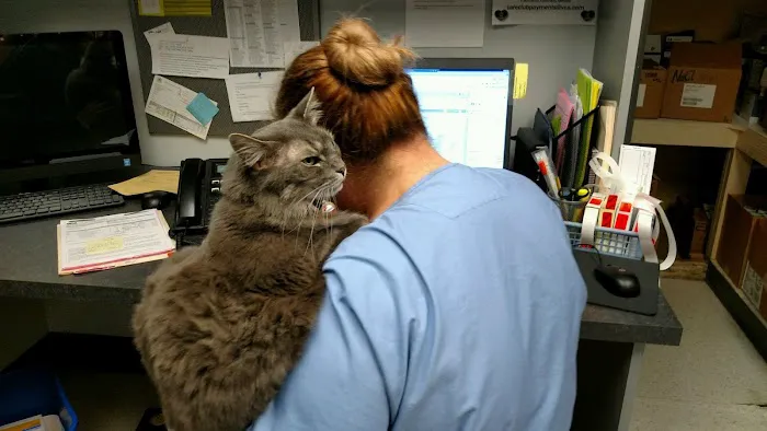 VCA Woodstock Animal Hospital Picture 5