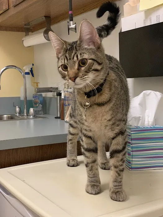 Washington Park Veterinary Clinic Picture 2