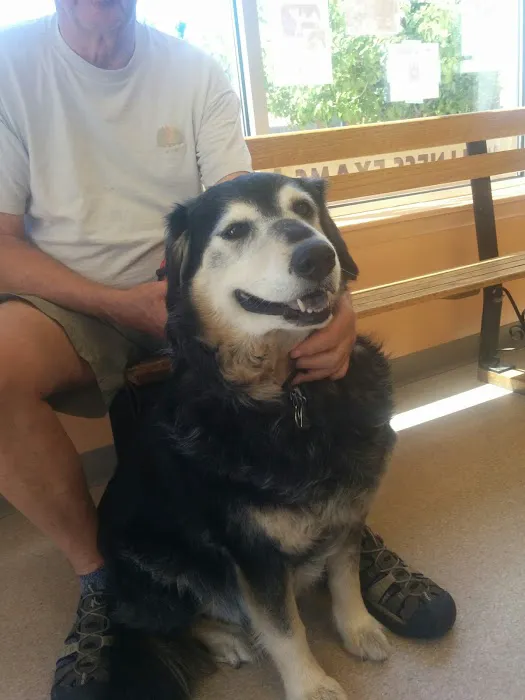 Washington Park Veterinary Clinic Picture 5