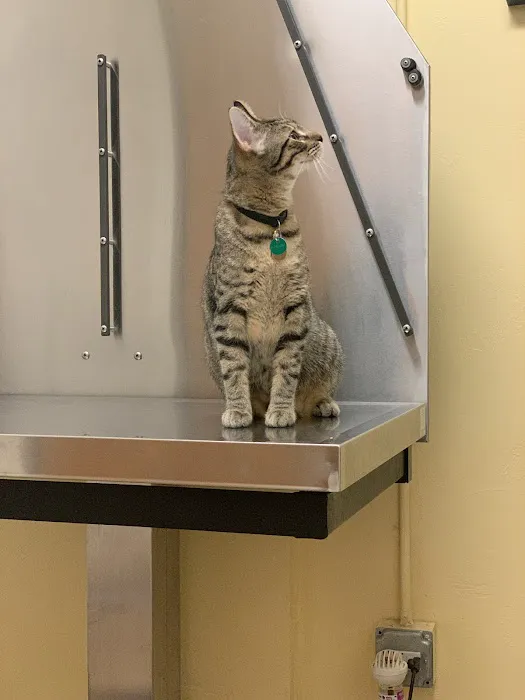 Washington Park Veterinary Clinic Picture 9