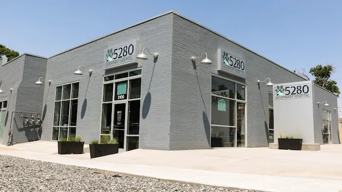 5280 Veterinary Care Picture 2