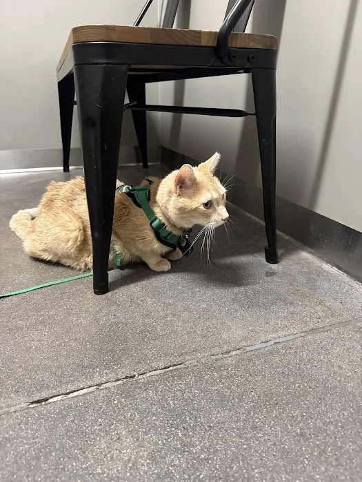 5280 Veterinary Care Picture 1