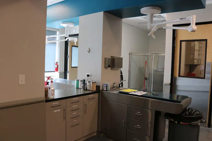 5280 Veterinary Care Picture 6