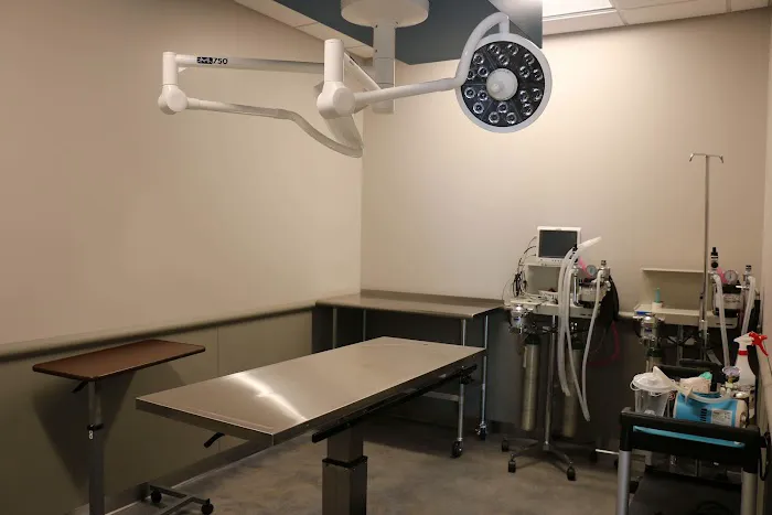 5280 Veterinary Care Picture 7