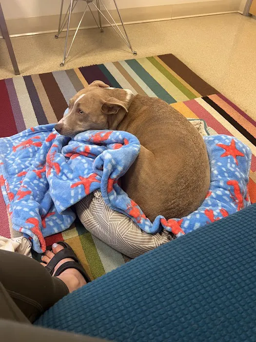 Urban Vet Care Picture 7