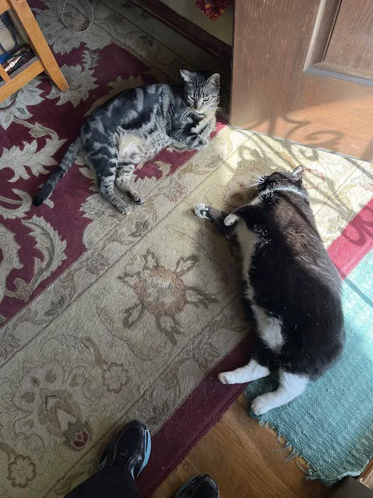 Urban Vet Care Picture 10