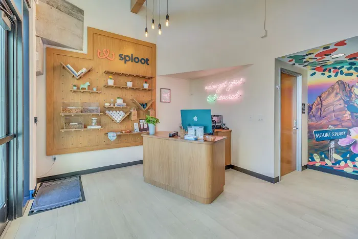 Sploot Veterinary Care - RiNo Picture 6