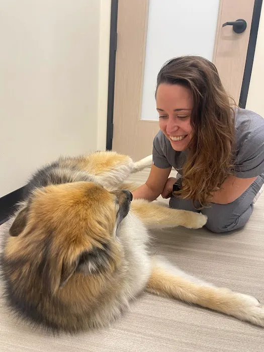 Sploot Veterinary Care - RiNo Picture 7
