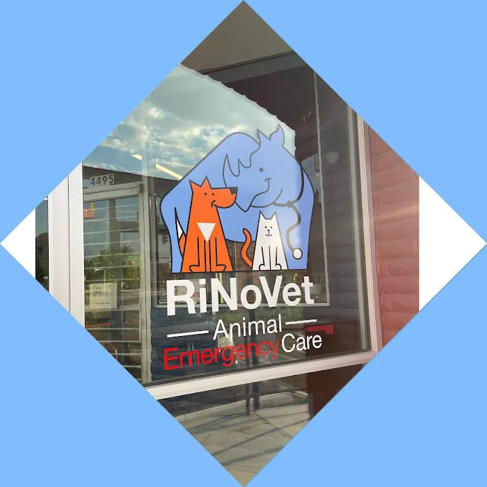 RiNoVet Animal Emergency Care Picture 3
