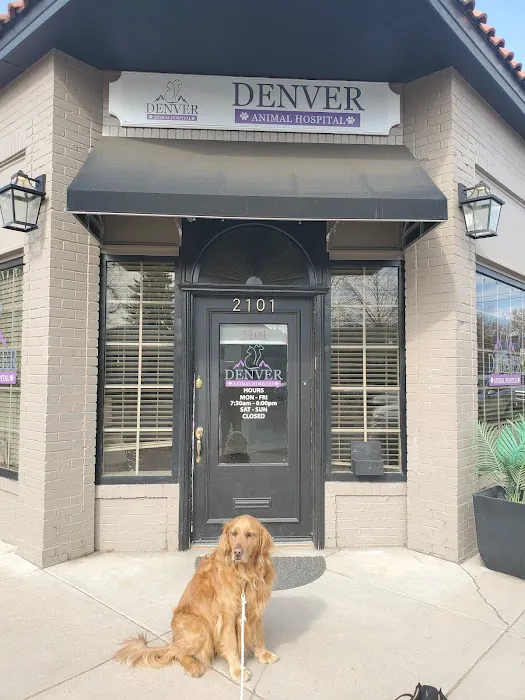 Denver Animal Hospital Picture 3