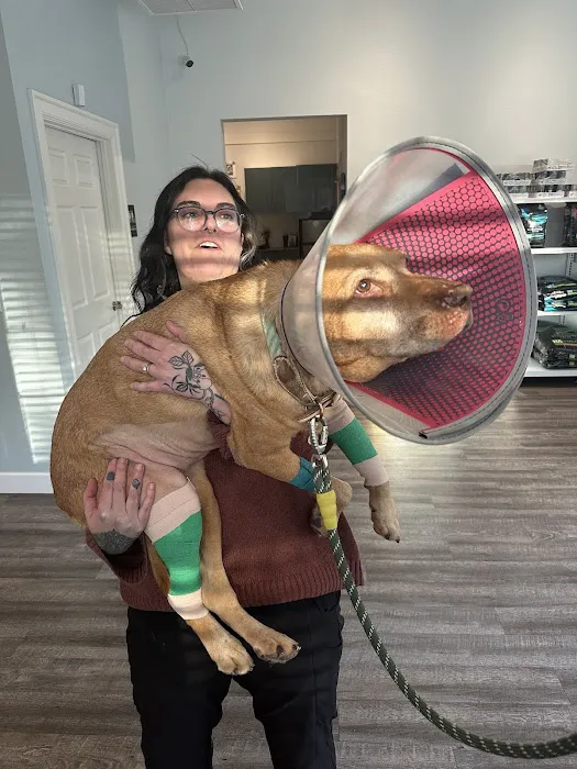 Denver Animal Hospital Picture 5