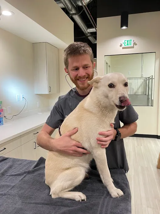 Sploot Veterinary Care - Highlands Picture 3