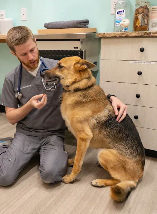 Sploot Veterinary Care - Highlands Picture 1