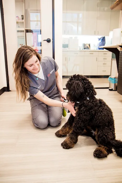 Sploot Veterinary Care - Highlands Picture 4