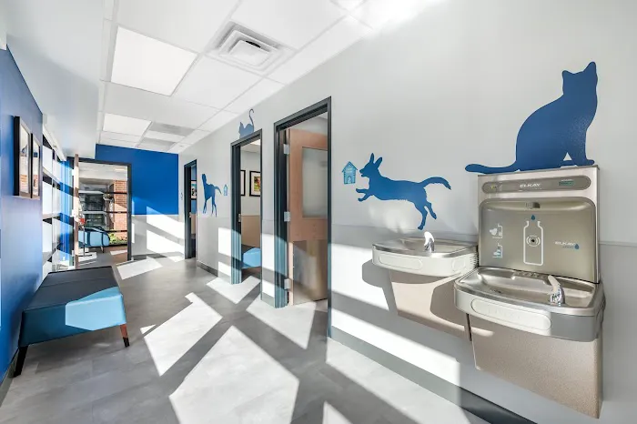 Livewell Animal Hospital of Sloan Lake Picture 6
