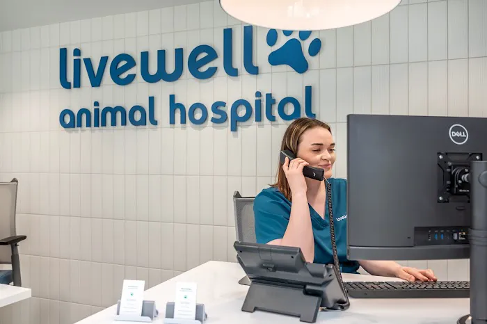 Livewell Animal Hospital of Sloan Lake Picture 8