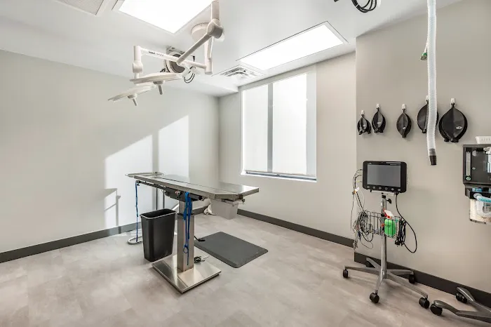 Livewell Animal Hospital of Sloan Lake Picture 9