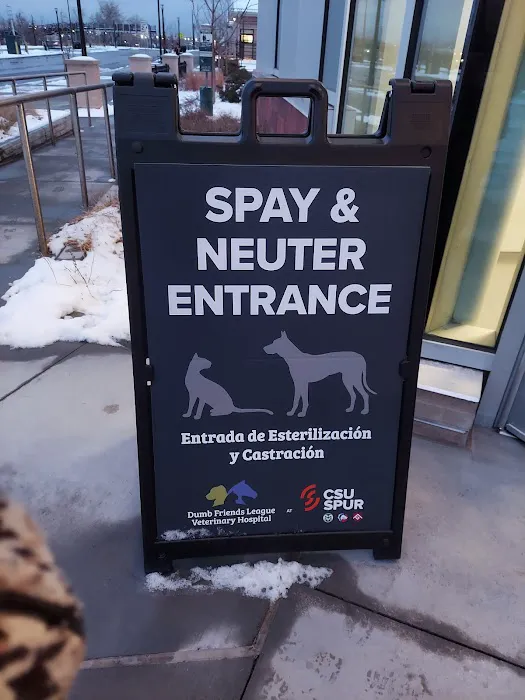 Humane Colorado, formerly the Dumb Friends League - Cat Spay/Neuter Clinic Picture 1