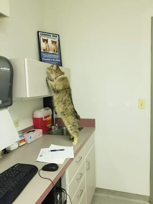 Humane Colorado, formerly the Dumb Friends League - Cat Spay/Neuter Clinic Picture 8