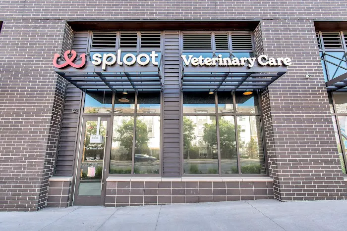 Sploot Veterinary Care - 9+CO Picture 5