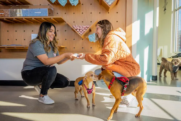 Sploot Veterinary Care - 9+CO Picture 9