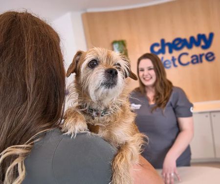 Chewy Vet Care 9+Co