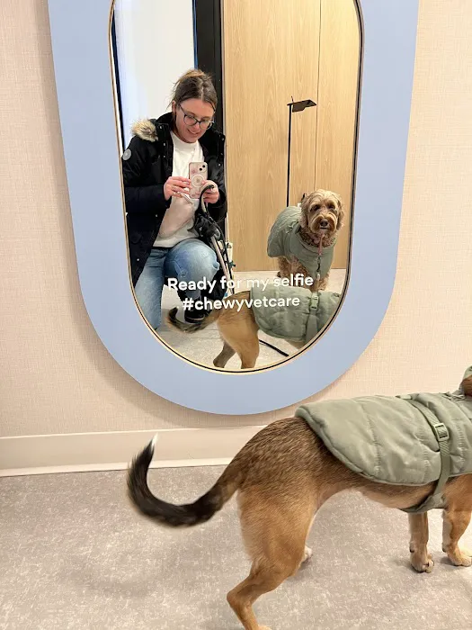 Chewy Vet Care 9+Co Picture 2