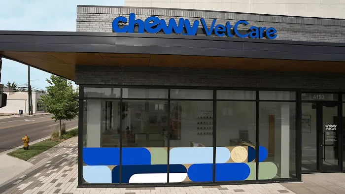 Chewy Vet Care 9+Co Picture 3