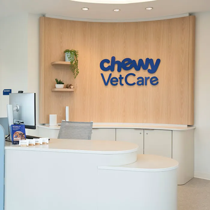 Chewy Vet Care 9+Co Picture 4