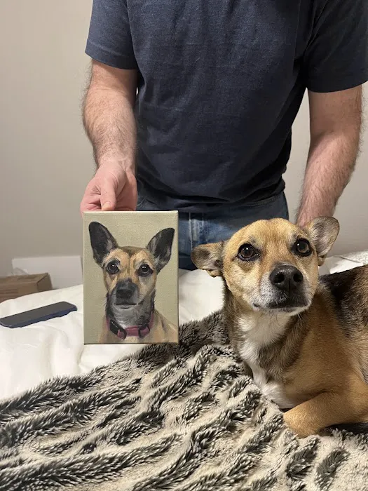 Chewy Vet Care 9+Co Picture 5