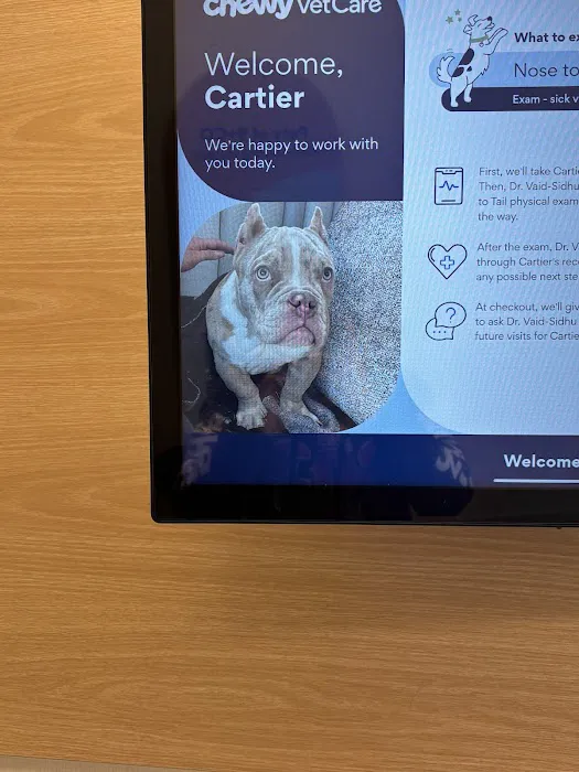 Chewy Vet Care 9+Co Picture 7