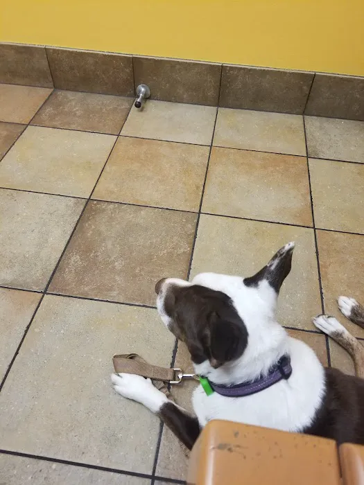 Banfield Pet Hospital Picture 6