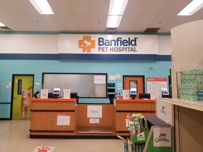 Banfield Pet Hospital Picture 8