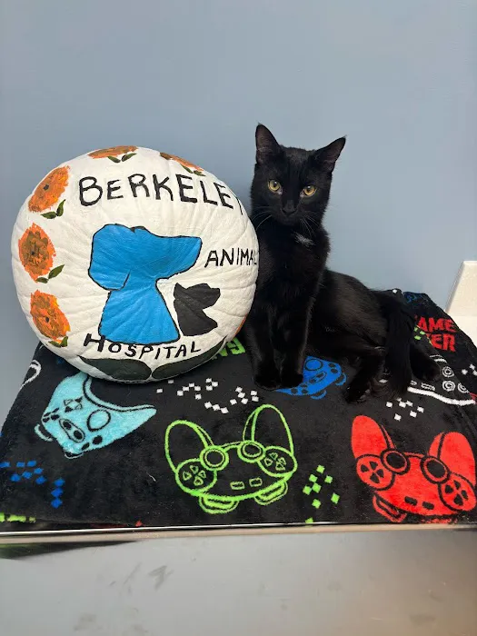 Berkeley Animal Hospital Picture 4